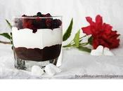 Yogurt Griego chocolate Frutos Bosque