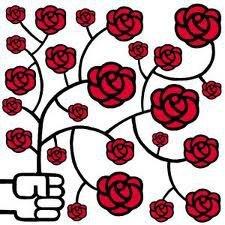 Un nuevo partido en Cádiz