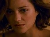 Gossip Bat: ¿Marion Cotillard Rises?