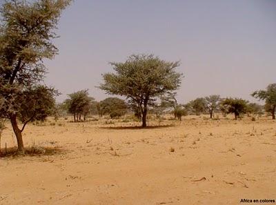 159. Camino de Níger