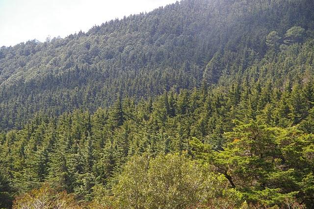 Entre bosques nebulosos, trifinios y quetzales