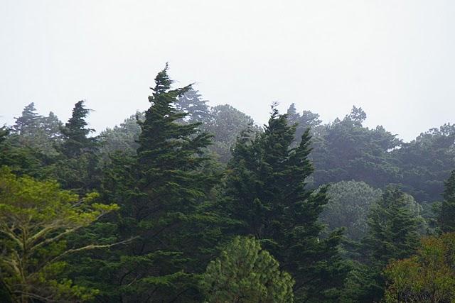 Entre bosques nebulosos, trifinios y quetzales