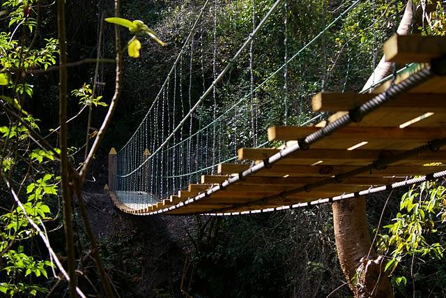 Entre bosques nebulosos, trifinios y quetzales