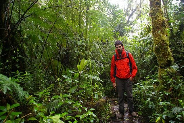 Entre bosques nebulosos, trifinios y quetzales