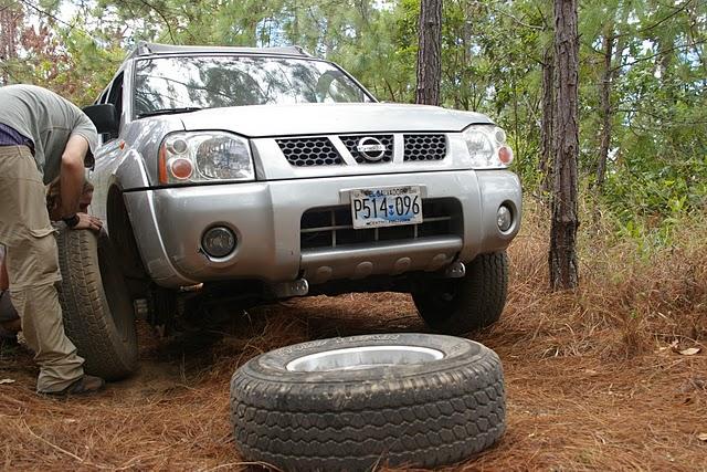 Entre bosques nebulosos, trifinios y quetzales