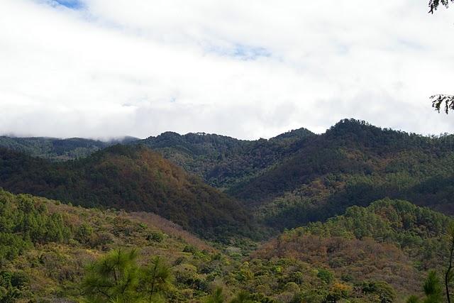 Entre bosques nebulosos, trifinios y quetzales