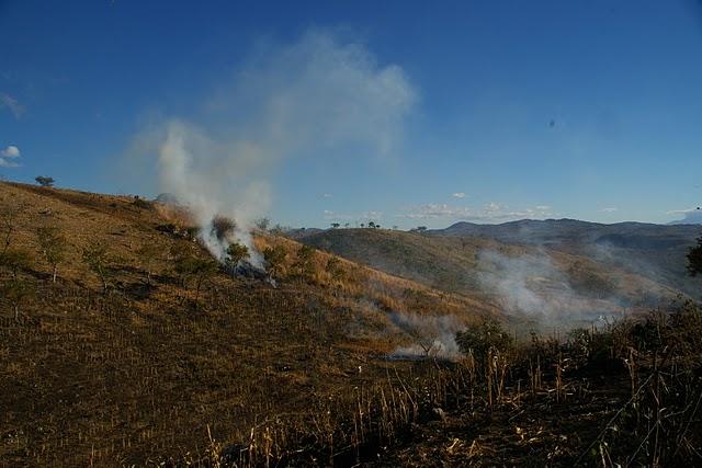 Entre bosques nebulosos, trifinios y quetzales
