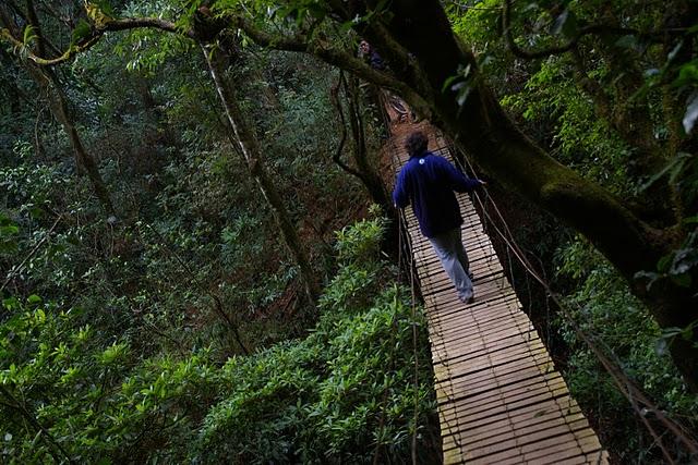 Entre bosques nebulosos, trifinios y quetzales