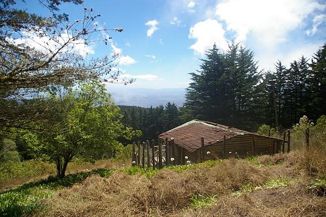 Entre bosques nebulosos, trifinios y quetzales