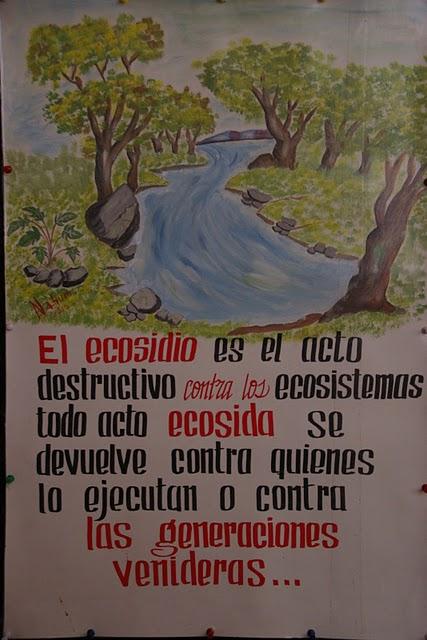 Entre bosques nebulosos, trifinios y quetzales