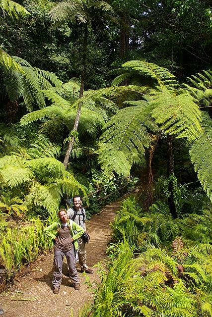 Entre bosques nebulosos, trifinios y quetzales