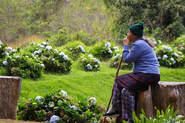 Entre bosques nebulosos, trifinios y quetzales