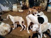 Córdoba... tiempo para insultos lágrimas, sólo salvarles vida