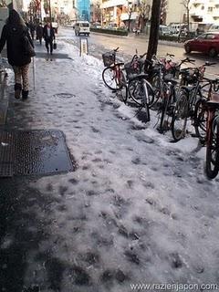 San Valentin Chocolateado y perruno