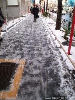 San Valentin Chocolateado y perruno