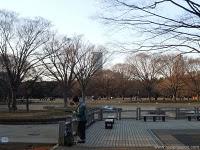 San Valentin Chocolateado y perruno