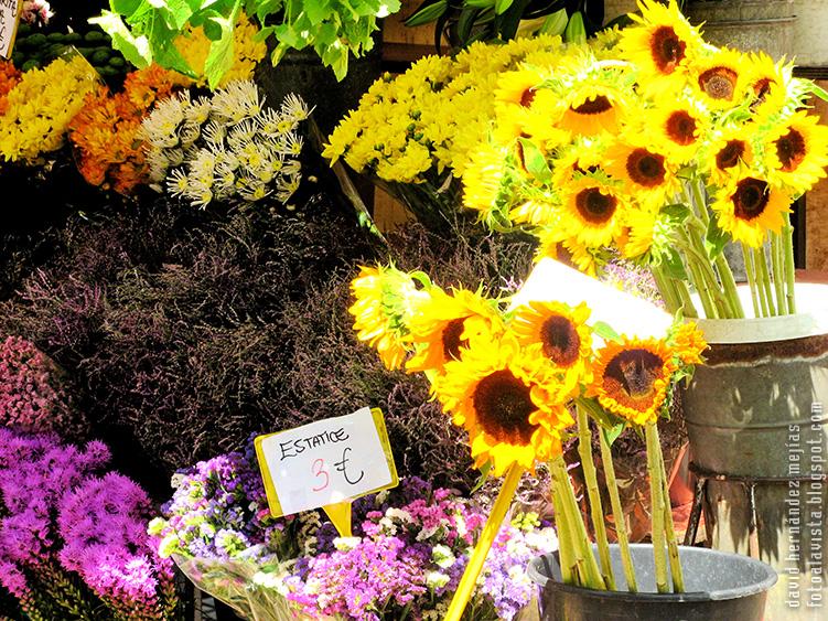 Detalle de un puesto de venta de flores en Las Ramblas de Barcelona
