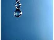 gota