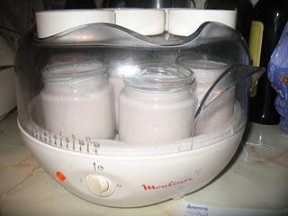 Concurso, yogurt casero y lote puleva