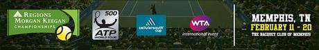 ATP 500 Memphis: Dabul empezó derecho en EE.UU