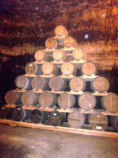 VIAJE AL CENTRO DE LA MANCHA (II)