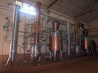 VIAJE AL CENTRO DE LA MANCHA (II)