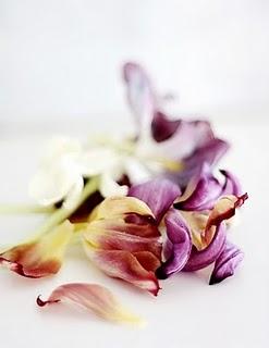 Flores marchitas, belleza robada