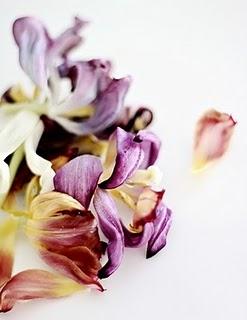 Flores marchitas, belleza robada