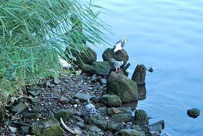 El viaje definitivo.