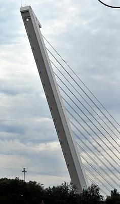 Piragüismo en Sevilla, regata en el Guadalquivir.