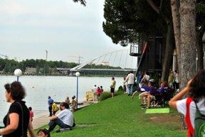 Piragüismo en Sevilla, regata en el Guadalquivir.