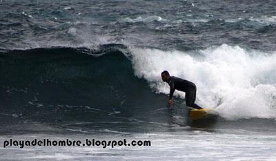 WAVE GARDEN