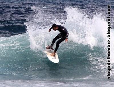 WAVE GARDEN