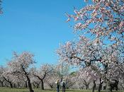 Descubriendo jardines: Quinta Molinos. Madrid.