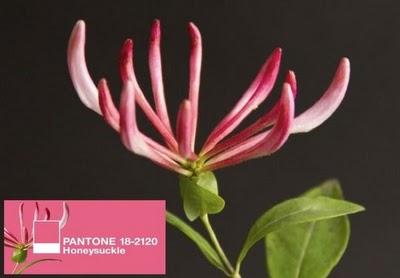 PANTONE : LOS NUEVOS COLORES DE LA PRIMAVERA/VERANO