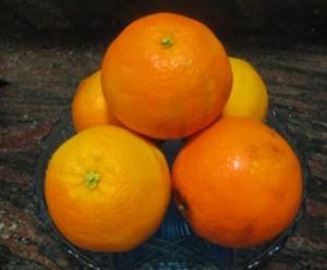 La Mostaza y La Fabulosa Naranja