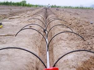 Riego Tecnificado, Riego Localizado, Riego Presurizado