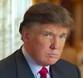 Confort por Donald Trump