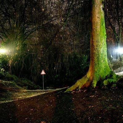 Joana E. Sendra Alemany