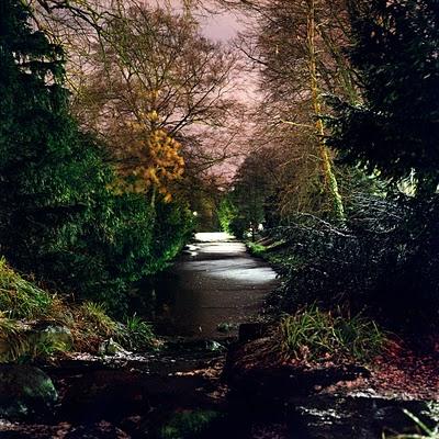 Joana E. Sendra Alemany