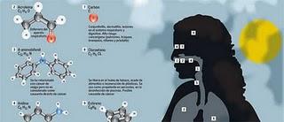 Contaminación: los tóxicos más dañinos del aire que respiramos