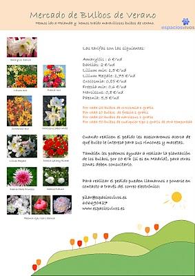 Mercado de Bulbos de Verano