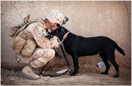 lado más cariñoso de los perros