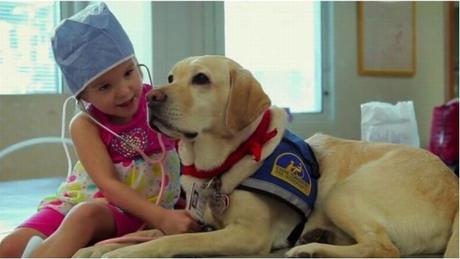 lado más cariñoso de los perros