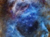 ✨Nebulosa Rosetta Paul Swift