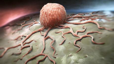 Foto via Shutterstock.com.