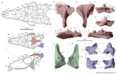 TOP 10: lo mejor del 2016 en Paleontología