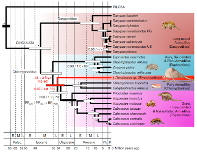 TOP 10: lo mejor del 2016 en Paleontología