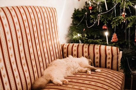 INSPIRATIONAL MONDAY #2017 INSPIRATIONAL MONDAY #2017