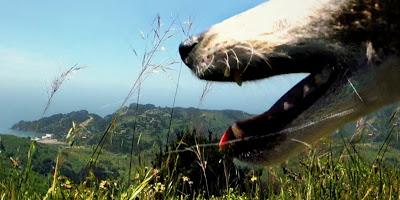 El evangelio del 2016... según Mauricio González Lara/XII